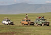 Safari vehicles waiting for action
